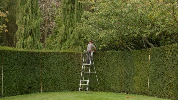 Designing a Net Investment Hedging Program That Makes Sense