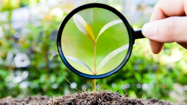Environmental Scrutiny: Internal Audit Takes Stock of ESG Goals