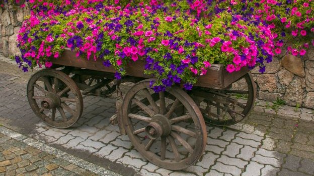 European Pensions Ride the ESG Bandwagon. Will US Plans Catch Up?