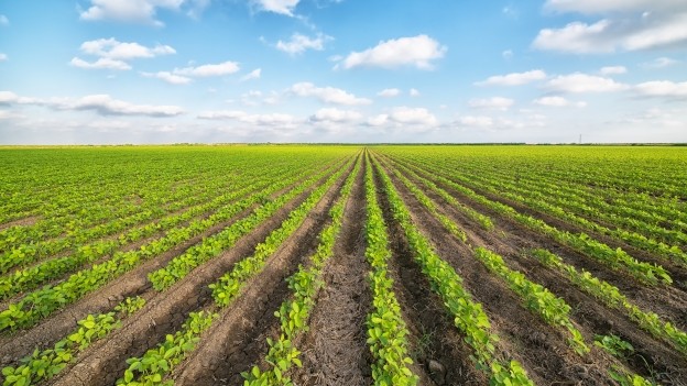 Fertile Ground: Capital Markets Look Good for Growing Tech Companies