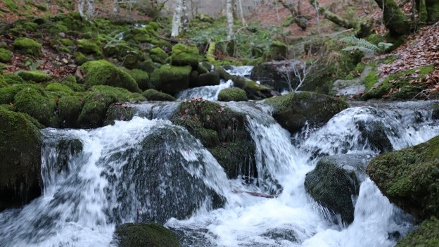 How Being ‘Like Water’ Helped One Man Revamp Medtronic’s 401(k) Plan