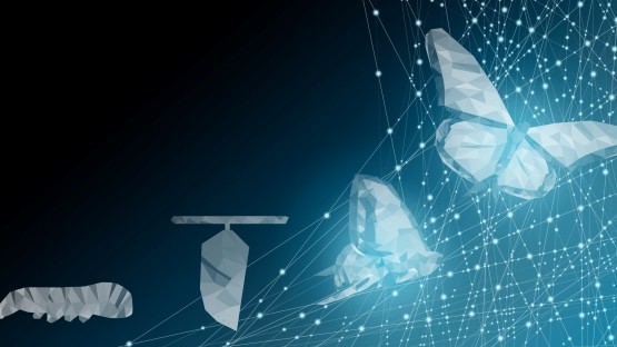 Is the Corporate Bond Market Ready for Digital Transformation?