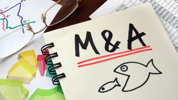 M&A Playbooks Are Showing Up on More Treasury Team To-Do Lists
