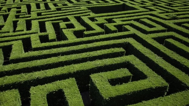 Navigating a Data Maze: Performance Metrics for FX Hedges