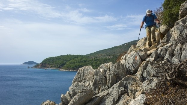 No Walk in the Park: Overcoming Resistance To Embrace a Cash Culture