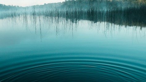 Ripple Effects: Will Institutional MMFs Start Waiving Fees to Stay Above Water?