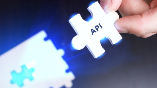 Sizing Up APIs: the Right Piece to Solve a Treasury Data Puzzle?