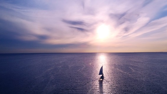 Stablecoins on the Horizon: Treasurers Find Their Bearings