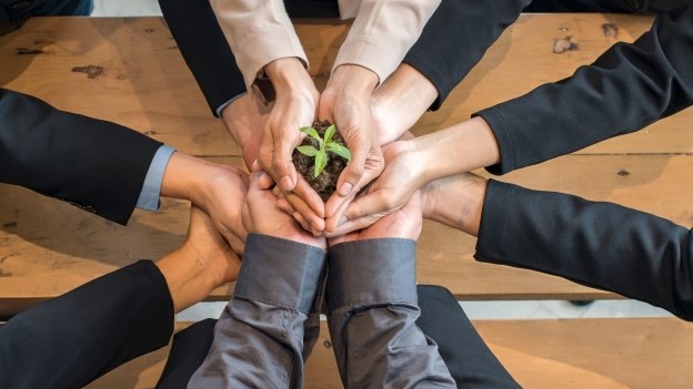 Supporting—Not Leading—the Green Charge: Defining Treasury’s Role