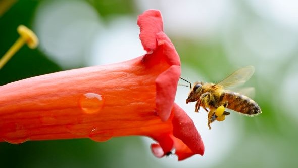 Sustainability and Smart Investing: Why the Buzz About ESG Is Growing