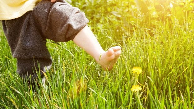 Taking Smaller ESG Steps, Bypassing the Green Bond Road (for Now)