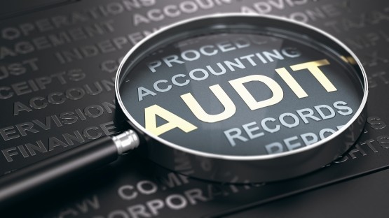 Treasury’s ESG Angst Over Auditors and Credit Rating Agencies