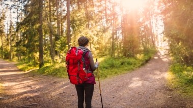 Two Paths to Excellence: Transform (Faster) or Evolve (Slower)