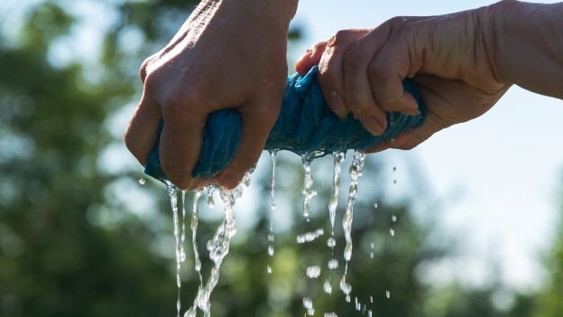 Wringing Every Drop From a Tight Treasury Technology Budget