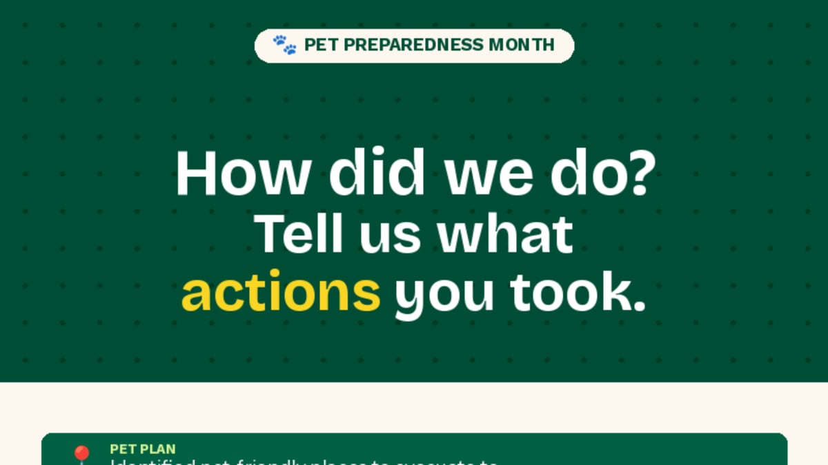 Pet Preparedness Month Actions Taken Assessment Poll
