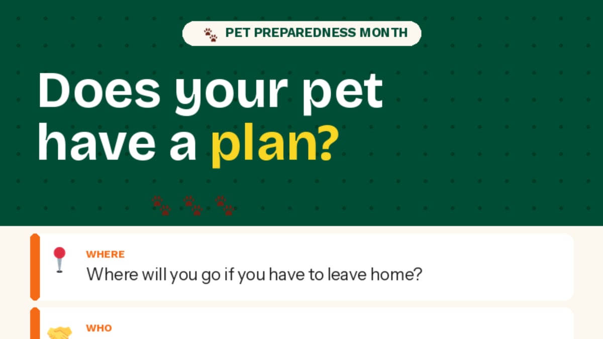 🐾 Do you have a plan for your pet?