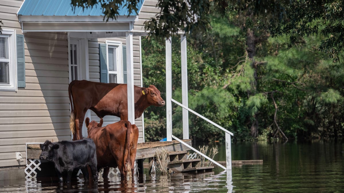 Safety tips for when returning home after evacuating