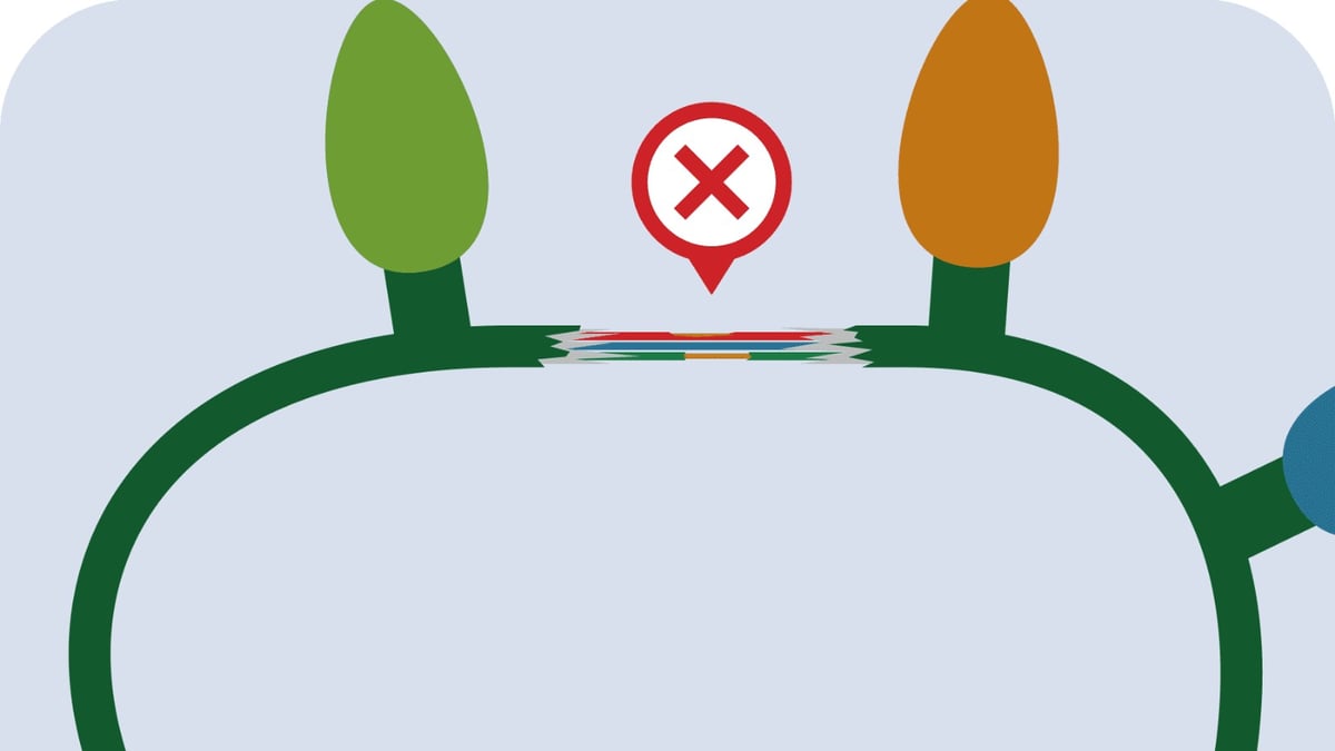 Did you know that the National Fire Protection Association (NFPA) reports electrical problems as a leading cause of home Christmas tree fires, accounting for one-third or more of these incidents? 