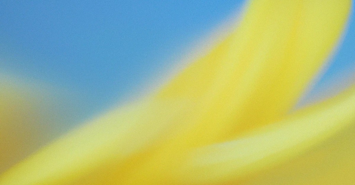 Leading District-Wide Adoption