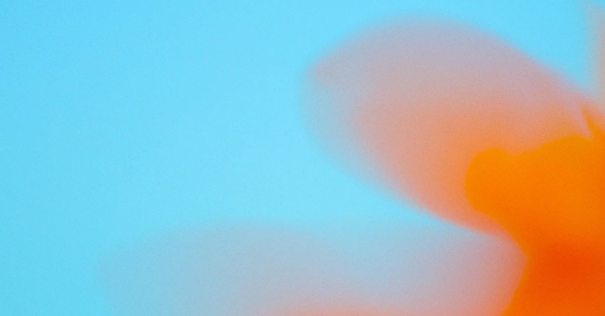 Leading District-Wide Adoption