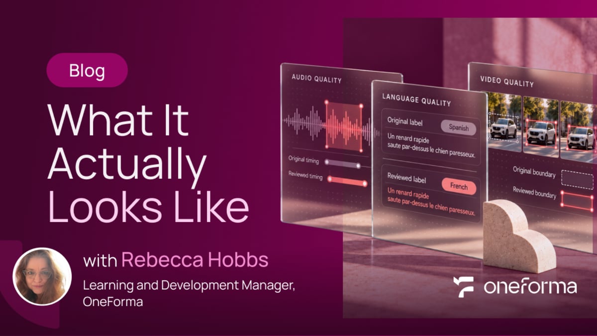 How Data Annotation Quality Is Checked