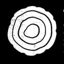 Collective Intelligence Project