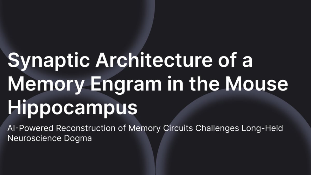 Synaptic Architecture of a Memory Engram in the Mouse Hippocampus