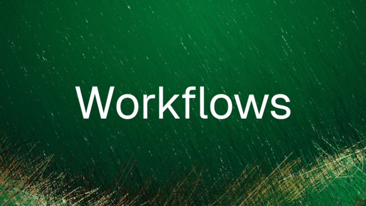 Re-introducing workflows... 