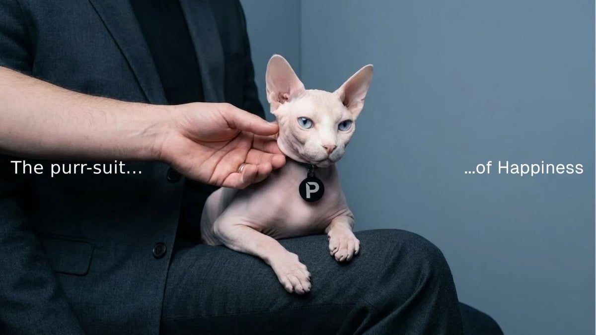 The purr-suit of Happiness 
