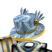 CAAPIRAI