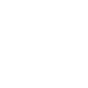 Skydio Live Logo