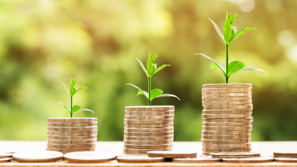 Mastering Monetized Customer Success: Strategies for SaaS Growth and Profitability