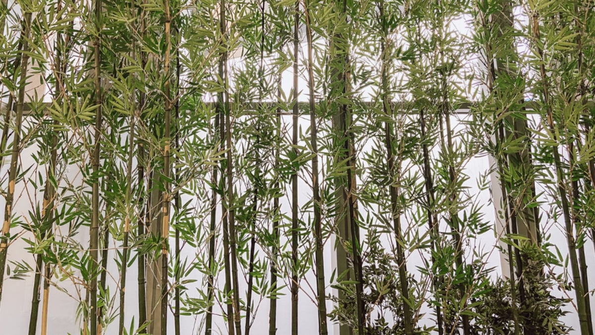 Evergreen Principles for AI Success