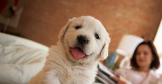 livestream evergreen - future